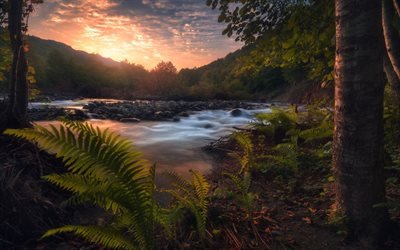 sunset, mountain river, spring, forest, river, stones, water