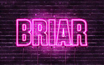 Briar, 4k, fondos de pantalla con los nombres, los nombres femeninos, Briar nombre, p&#250;rpura luces de ne&#243;n, el texto horizontal, imagen con Briar nombre