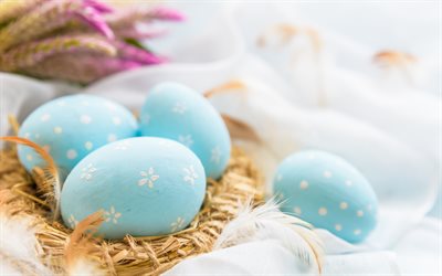 Easter eggs, nest, blue colored eggs, Easter, spring holidays, Easter background