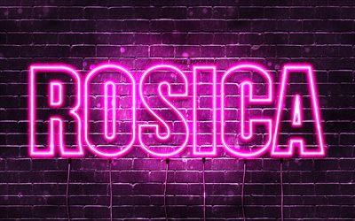 Rosica, 4k, pap&#233;is de parede com nomes, nomes femininos, nome de Rosica, luzes de n&#233;on roxas, Feliz Anivers&#225;rio Rosica, nomes femininos b&#250;lgaros populares, foto com o nome de Rosica
