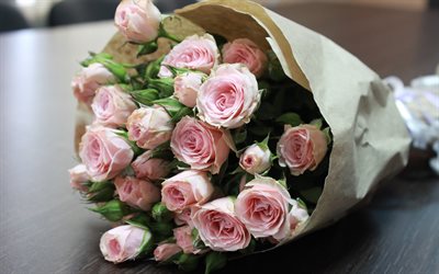 rosa rosor, stor bukett, papper, rosor, rosa blommor