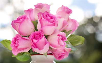 vaaleanpunaisia ruusuja, valkoinen maljakko, kaunis vaaleanpunainen kukkia, ruusut, silmut ruusut