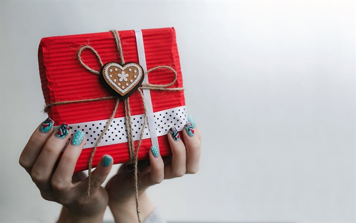 red gift box, gift in the hands, female hands, gifts concepts, giving a gift