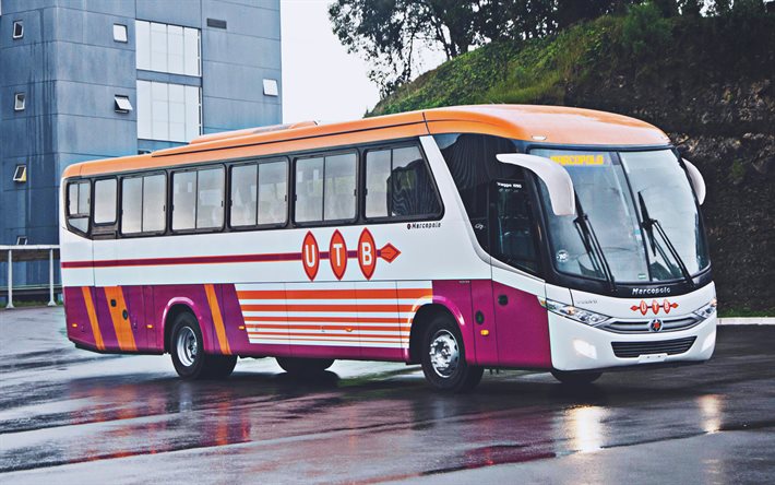 marcopolo buses in india