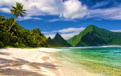 4k, American Samoa, beach, paradise, ocean, USA, beautiful nature, America, palms