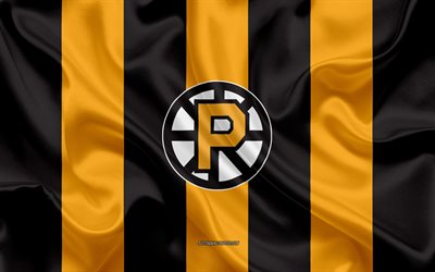 Providence Bruins, American Hockey Club, emblem, silk flag, yellow-black silk texture, AHL, Providence Bruins logo, Providence, Rhode Island, USA, hockey, American Hockey League