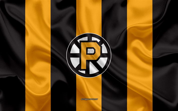Providence Bruins, Amerikan Hokey Kul&#252;b&#252;, amblem, ipek bayrak, sarı-siyah ipek doku, AHL, Providence Bruins logo, Providence, Rhode Island, ABD, hokey, Amerikan Hokey Ligi
