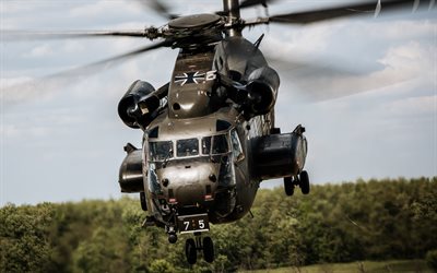 Sikorsky CH-53 Deniz Aygırı, Luftwaffe, askeri helikopter, CH-53 Deniz Aygırı, Sikorsky, NATO, Alman, Alman Hava Kuvvetleri