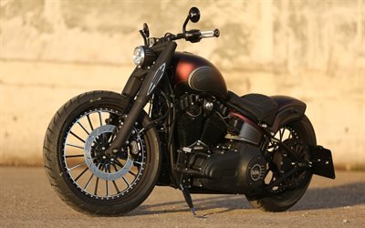 Harley-Davidson FXDR114, Thunderbike, chopper, moto, tuning, nero opaco moto, moto americane, Moto Custom, Harley-Davidson