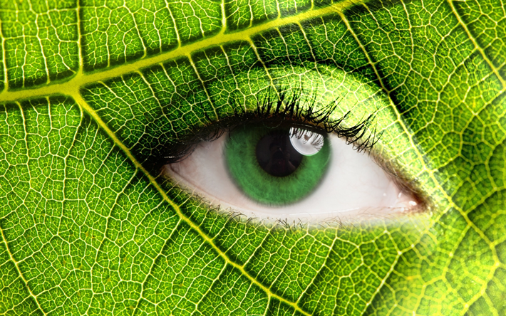Ecology, green leaf, eye, Eco concepts, take care of nature