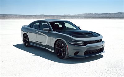Dodge Charger SRT Hellcat, 2019, gray sport sedan, tuning, new gray Charger, front view, American cars, Dodge