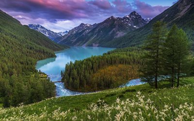 dağ nehir, akşam, G&#252;n batımı, dağ manzarası, orman, ABD, Kuzey Amerika
