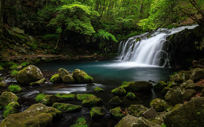 beautiful waterfall, forest lake, river, forest, green trees, summer, jungle