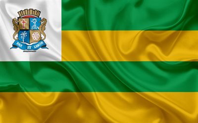 Aracaju, 4k, ipek doku, Brezilyalı şehir, sarı yeşil ipek bayrak, bayrak Aracaju, Sergipe, Brezilya, sanat bayrağı