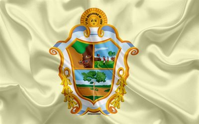 Bandera de Manaus, 4k, de seda, de la textura, de la ciudad Brasile&#241;a, amarillo bandera de seda, Manaus bandera, Amazonas, Brasil, arte, Am&#233;rica del Sur, Manaus