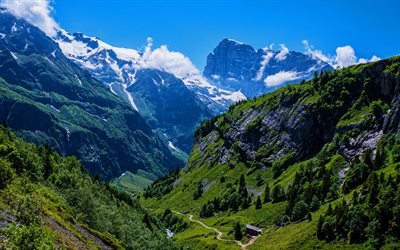 エンゲルベルク, 4k, アルプス, 夏, 山々, スイス, 美しい自然, 欧州