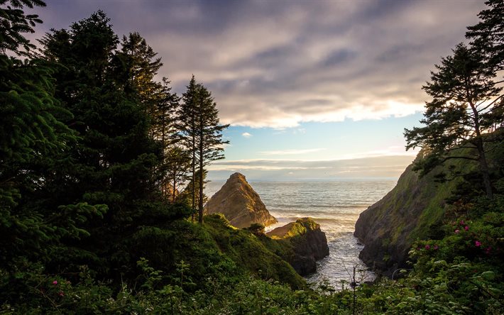 Grottes de lions de mer, Florence, soir&#233;e, coucher de soleil, beau paysage, Oregon, &#201;tats-Unis