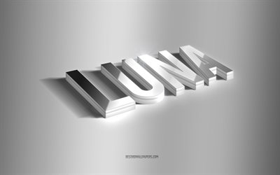 Luna, silver 3d art, gray background, wallpapers with names, Luna name, Luna greeting card, 3d art, picture with Luna name