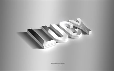 Lucy, silver 3d -konst, gr&#229; bakgrund, tapeter med namn, Lucy -namn, Lucy -gratulationskort, 3d -konst, bild med Lucy -namn
