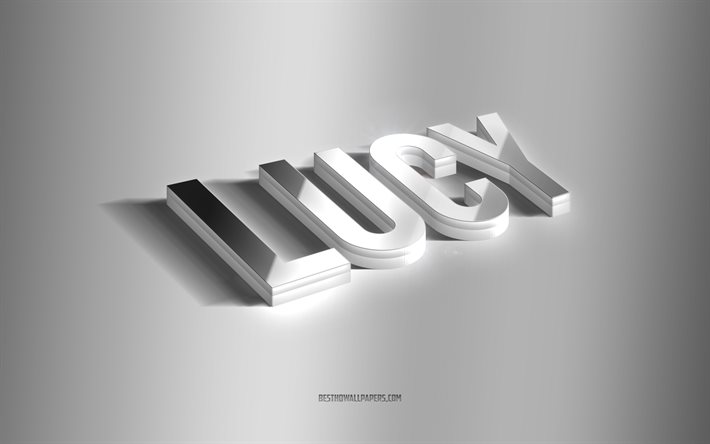 lucy, silberne 3d-kunst, grauer hintergrund, tapeten mit namen, lucy-name, lucy-gru&#223;karte, 3d-kunst, bild mit lucy-namen
