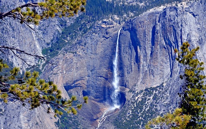 El Parque Nacional de Yosemite, acantilados, &#225;rboles de pino, cascada, Am&#233;rica, estados UNIDOS