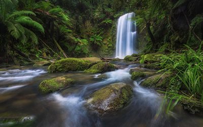 waterfall, lake, rock, stones, Beauchamp Falls, Great Otway National Park, Victoria, Australia