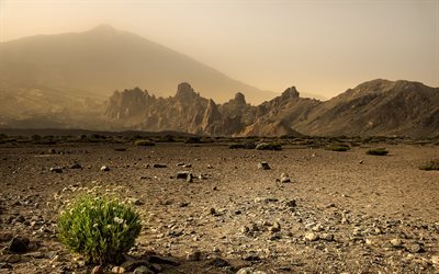 desierto, arena, monta&#241;as, puesta del sol