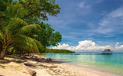 beach, palm trees, tropical island, summer, Kalimantan, Borneo Island, Malaysia