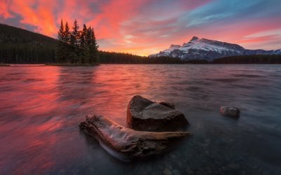 lake, sunset, forest, USA, Mountain