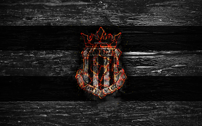 Sandecja Nowy Sacz FC, fire logo, Ekstraklasa, white and black lines, polish football club, grunge, football, soccer, Sandecja Nowy Sacz logo, wooden texture, Poland