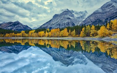 montanhas, outono, lago de montanha, floresta, amarelo &#225;rvores, nevoeiro, o tempo de chuva, EUA