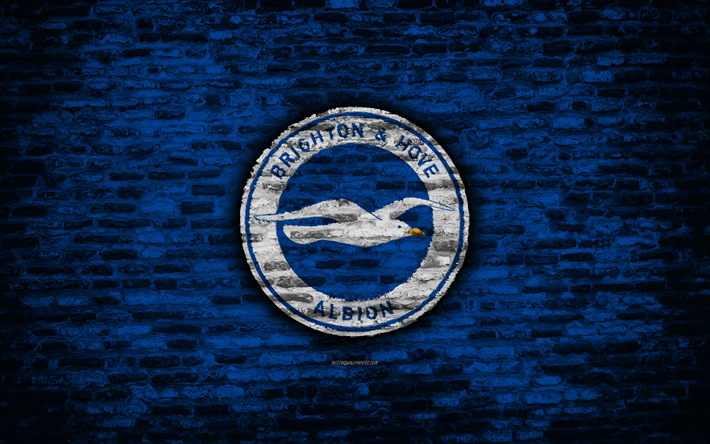 Brighton FC, logo, bleu, mur de briques, Premier League anglaise, le club de football, de soccer, de football, Les Mouettes, la texture de brique, Falmer, Angleterre