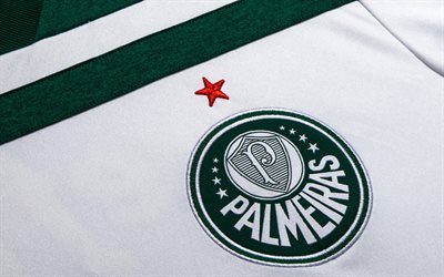 Palmeiras FC, Sociedade Esportiva Palmeiras, logotyp, emblem, vit gr&#246;n T-shirt, Brasiliansk fotboll club, Sao Paulo, Brasilien, Serien