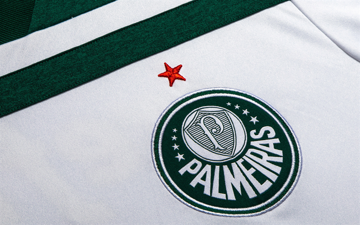 Palmeiras FC, Sociedade Esportiva Palmeiras, logo, emblem, white green T-shirt, Brazilian football club, Sao Paulo, Brazil, Series