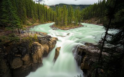 Jasper National Park, vackra vattenfall, berg river, Sunwapta Falls, skogen, dimma, bergslandskapet, Sunwapta River, Alberta, Kanada
