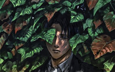 Levi Ackerman, 4k, Hyökkäys Titan, Levi, vihreät lehdet, kuvitus, Shingeki Ei Kyojin, manga, Rivai Akkaman