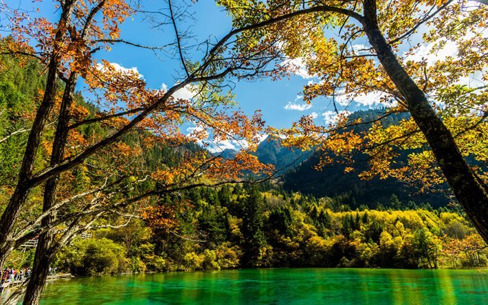 Parco nazionale di Jiuzhaigou, 4K, lago blu, bellissima natura, autunno, foresta, natura cinese, alberi gialli, Asia, Valle dei nove villaggi, Cina