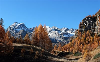sonbahar, dağlar, Alpler, dağ manzarası, İtalya, Piedmont, Crampiolo