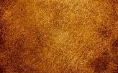 brown leather texture, materials, leather, brown materials