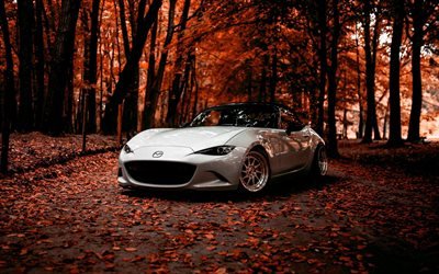 Mazda Miata, autumn, tuning, 2018 cars, Mazda MX-5, japanese cars, Mazda Roadster, Mazda