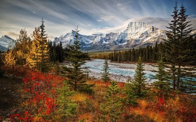 Jasper National Park, autumn, forest, mountains, canadian landmarks, Sunwapta River, Alberta, Canada