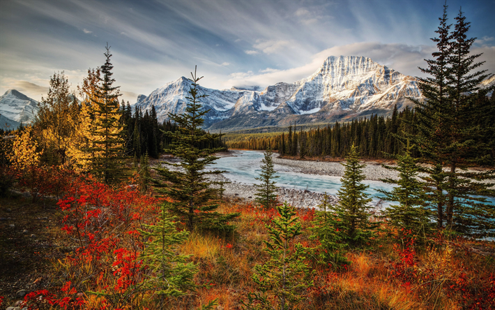 Jasper Ulusal Parkı, sonbahar, orman, dağlar, Kanada yerler, Sunwapta River, Alberta, Kanada