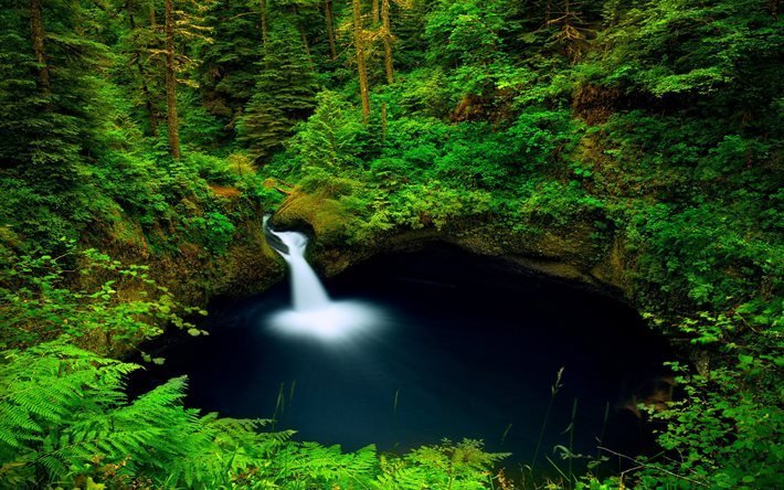 森林, 湖, 滝, パンチ鉢の滝, コロンビア, オレゴン州, 米国