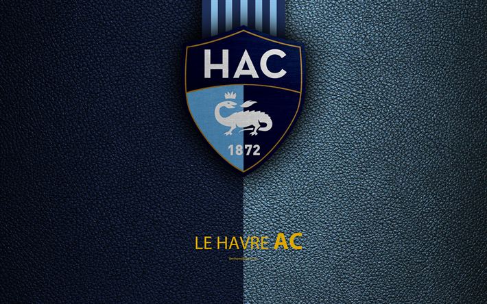 Le Havre AC, French football club, 4k, Ligue 2, Le Havre FC, leather texture, logo, Le Havre, France, second division, football