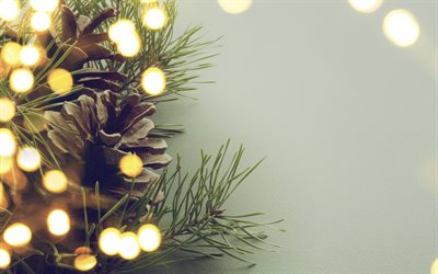 fir-tree, glare, 4k, bumps, Christmas, New Year