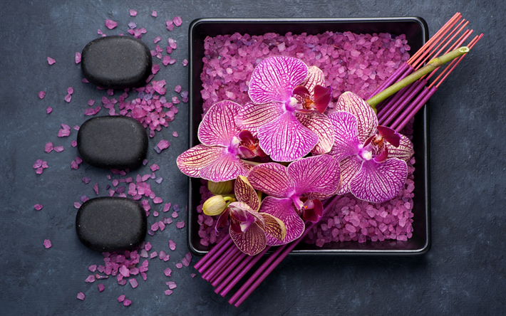 rosa orkid&#233;er, tropiska blommor, svarta stenar, spa-koncept, wellness, spa salt