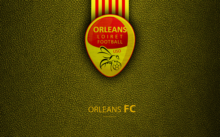 Orleans FC, French football club, 4k, Ligue 2, leather texture, logo, Orleans, France, second division, football