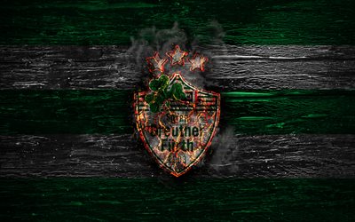 Greuther FC, fire logo, Bundesliga 2, green and white lines, german football club, grunge, football, soccer, logo, SpVgg Greuther Furth, fire logo of Greuther, Germany