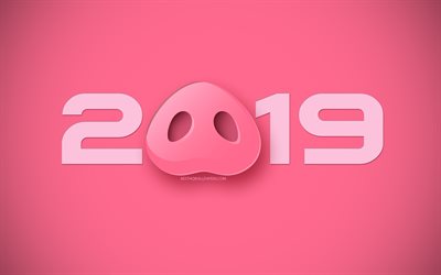 2019 Year, Happy New Year, Piglet, 2019 pig year, Pink 2019 background, creative art, 2019 concepts, Year of the Pig