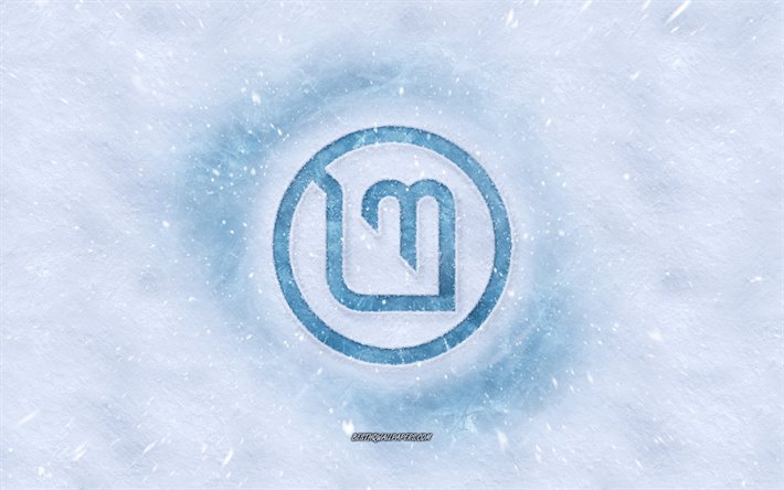 Linux Mint logotipo, invierno conceptos, la textura de la nieve, la nieve de fondo, Linux Mint con el emblema de invierno de arte, Linux